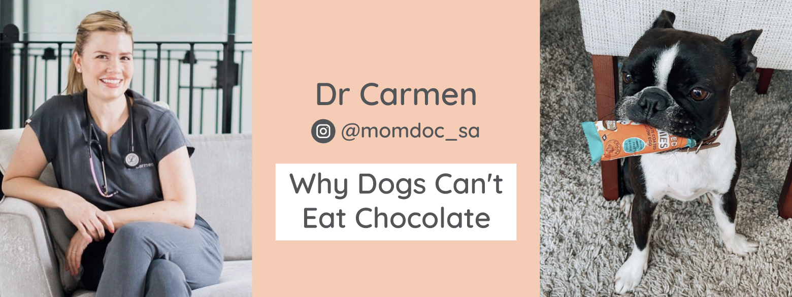 Have you ever wondered why dogs should not eat chocolate? MUMbox